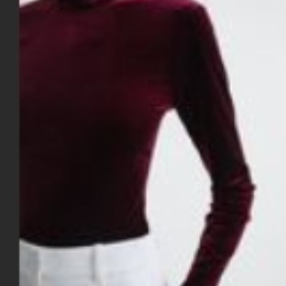 Reiss Connie Velvet Turtle Neck Top - Crimson Red - Small NWT - Picture 6 of 6